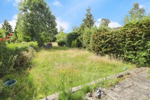 Photo 12- click for photo gallery